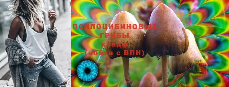 Псилоцибиновые грибы MAGIC MUSHROOMS  Камбарка 